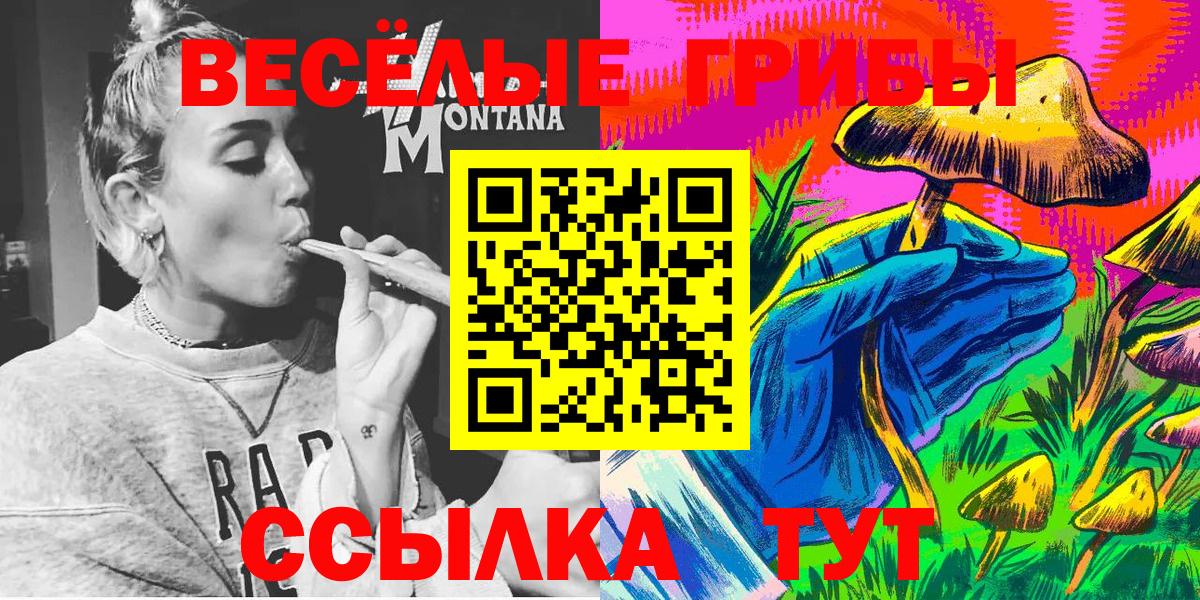 Псилоцибиновые грибы Psilocybine cubensis Ангарск